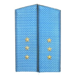 Pagony starszego chorążego...