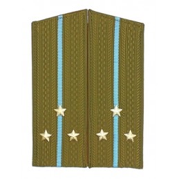 Epaulettes of the senior...