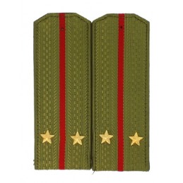 Epaulettes for shirt of the...