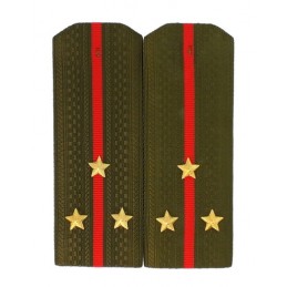 Epaulettes for shirt of the...