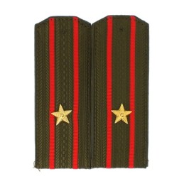 Epaulettes for shirt of the...