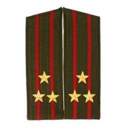 Epaulettes of the colonel...