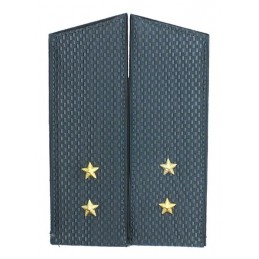 Epaulettes to the greatcoat...