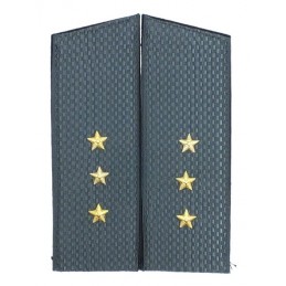 Epaulettes to the greatcoat...
