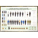 Poster: Uniforms and insignia privates and non-commissioned officers of the War Fleet