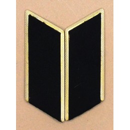 Collar tabs of Land Forces...