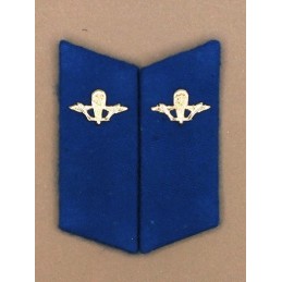 Collar tabs of Airborn...