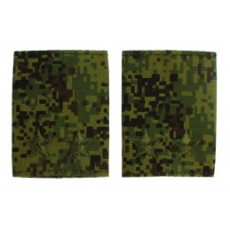 Epaulets for lt. colonel,...