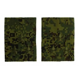 Epaulets for colonel,...