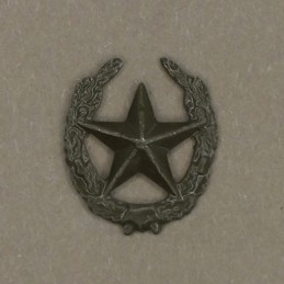 Insignia/badge "Motorized...