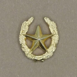 Insignia/badge "Motorized...