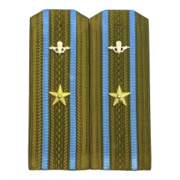 Epaulettes for shirt of the...