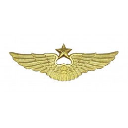 Aviation badge for the cap,...