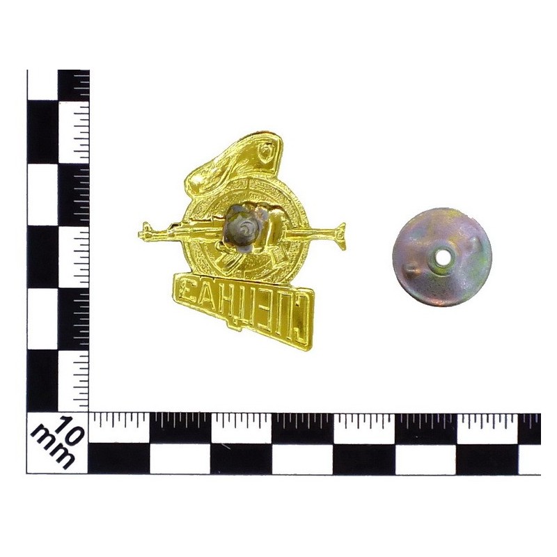 Badge to beret of "Spetsnaz" of Marine Infantry