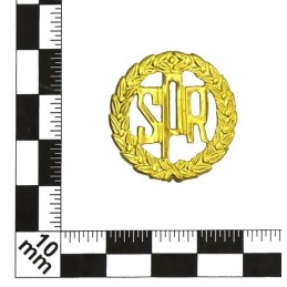 School Ensign of Reserve of Navy - graduates badge