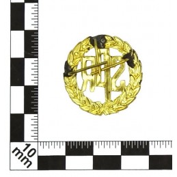 School Ensign of Reserve of Navy - graduates badge