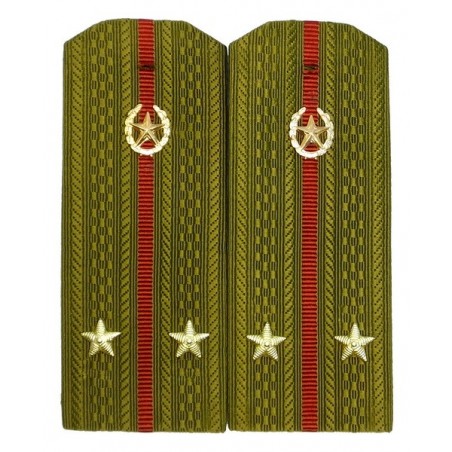 Epaulettes for shirt of the lieutenant of Internal Forces