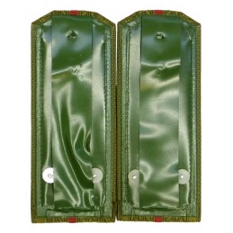 Epaulettes for shirt of the lieutenant of Internal Forces