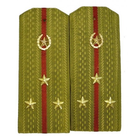 Epaulettes for shirt of the senior lieutenant of Internal Forces