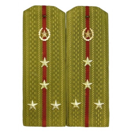 Epaulettes for shirt of the captain of Internal Forces