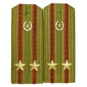 Epaulettes for shirt of the junior colonel of Internal Forces