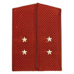 Epaulettes of the ensign of Internal Forces