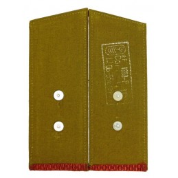 Epaulettes of the ensign of Internal Forces