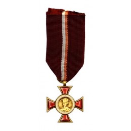 Medal "Janek Krasicki" - brown