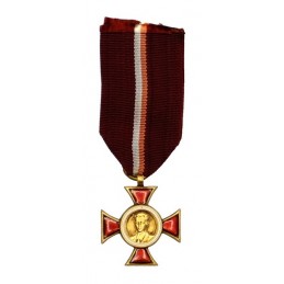 Odznaczenie "Janek Krasicki" - brązowy
