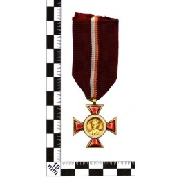 Medal "Janek Krasicki" - brown