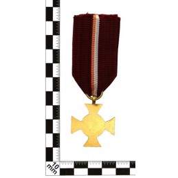 Medal "Janek Krasicki" - brown