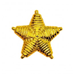 Stars to epaulettes of generals and admirals
