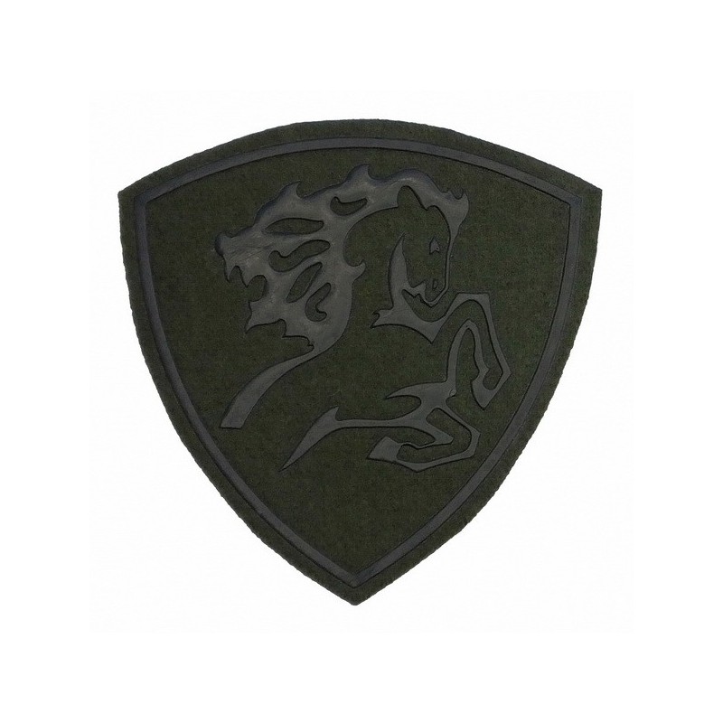 "North Caucasus Internal Forces District" patch, slaked