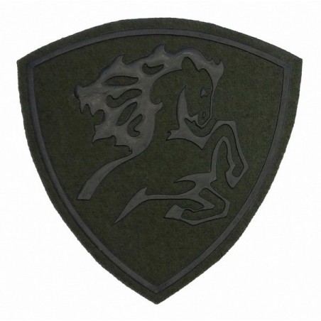 "North Caucasus Internal Forces District" patch, slaked
