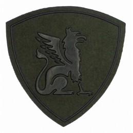 "Eastern Internal Forces District" patch, slaked