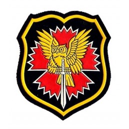 "Army Recon" patch