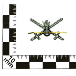 "Ground Forces" branch insignia, field