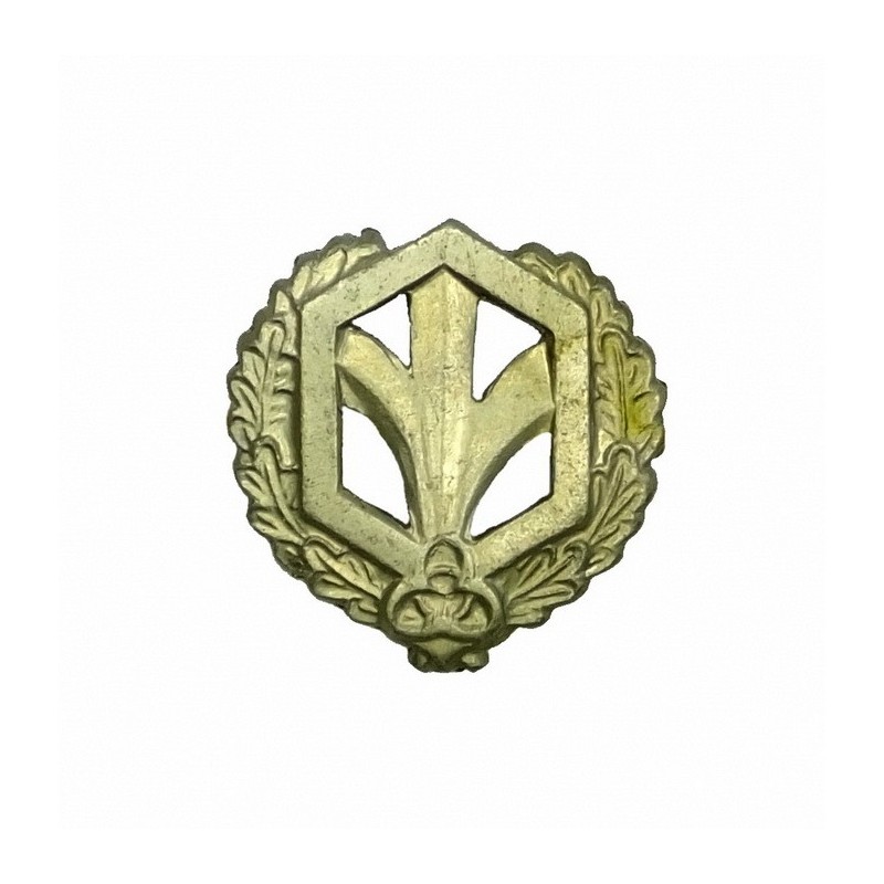 "Chemical Troops" branch insignia, field