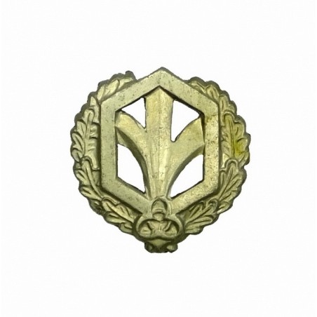 "Chemical Troops" branch insignia, field