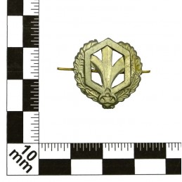 "Chemical Troops" branch insignia, field