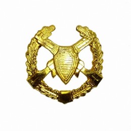 "Border Guards" branch insignia, gold