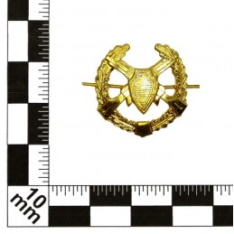 "Border Guards" branch insignia, gold