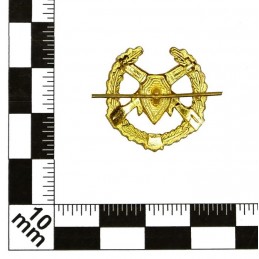 "Border Guards" branch insignia, gold