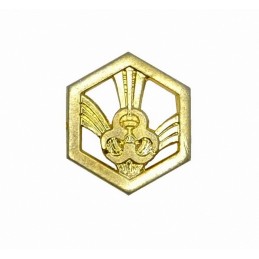 Korpusówka "Wojska Chemiczne", złota