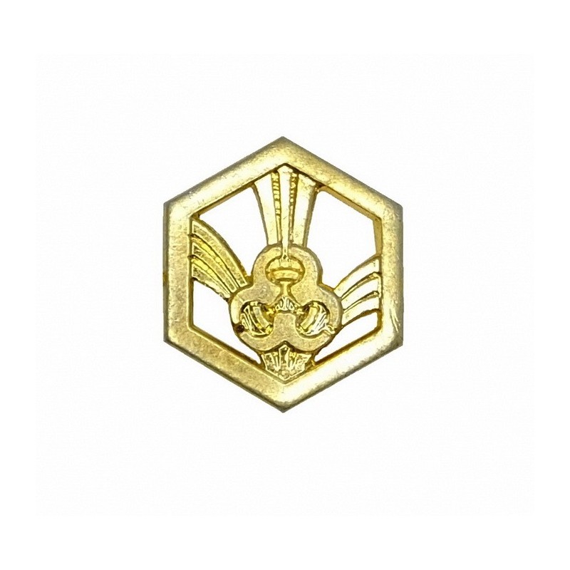 "Chemical Troops" branch insignia, gold