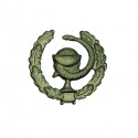 "Medical Service" branch insignia, field, left