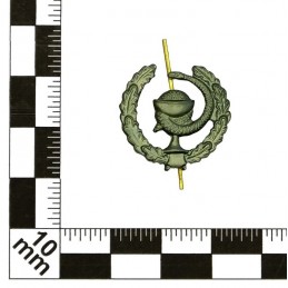 "Medical Service" branch insignia, field, left