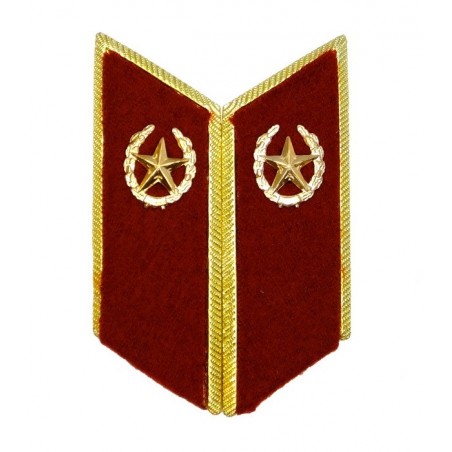 Collar tabs of Internal Forces for official uniforms with tabs
