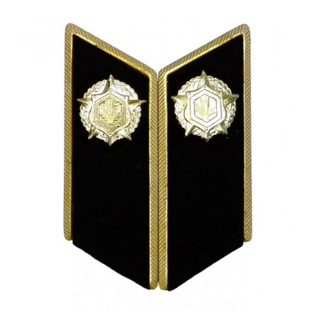 Collar tabs of Chemical Troops for official uniforms with tabs