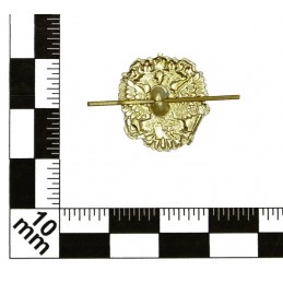 "Emblem" branch insignia, gold